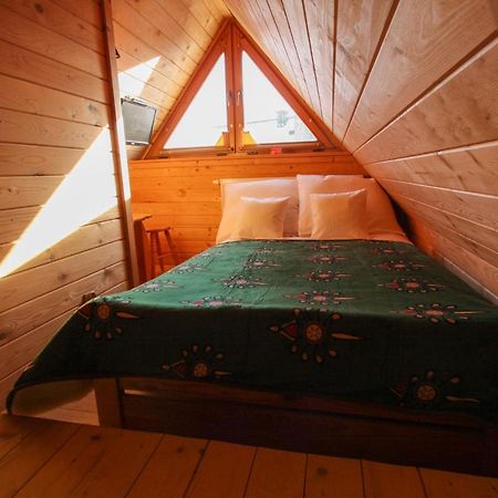 Willa Ceprowka Zakopane Dış mekan fotoğraf